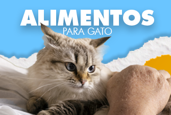 Alimentos para gatos | OnlyPets.cl