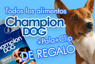 Alimentos para perros | OnlyPets.cl