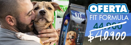 Ofertas para Perros | OnlyPets.cl