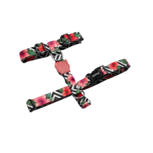 ARNES MEDIUM ZEEDOG MAHALO