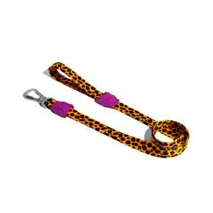 CORREA LARGE ZEEDOG HONEY