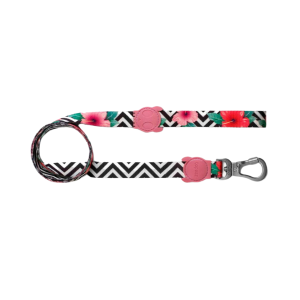 CORREA LARGE ZEEDOG MAHALO