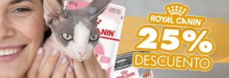 Ofertas para gatos | OnlyPets.cl