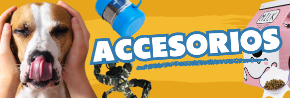 Accesorios para perros | OnlyPets.cl