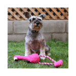 JUGUETE PLUSH CUERDA FLAMENCO XL - Imagen 2