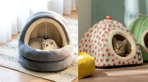 Guía para elegir la cama perfecta para tu gato