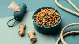 Guía completa para elegir la mejor comida para perros