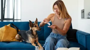 Todo sobre los antiparasitarios para perros