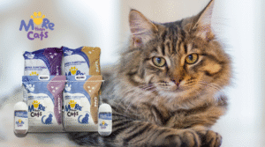 More Than Cats la línea premium para el bienestar de tu gato