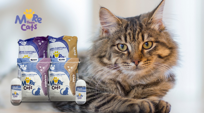 More Than Cats la línea premium para el bienestar de tu gato