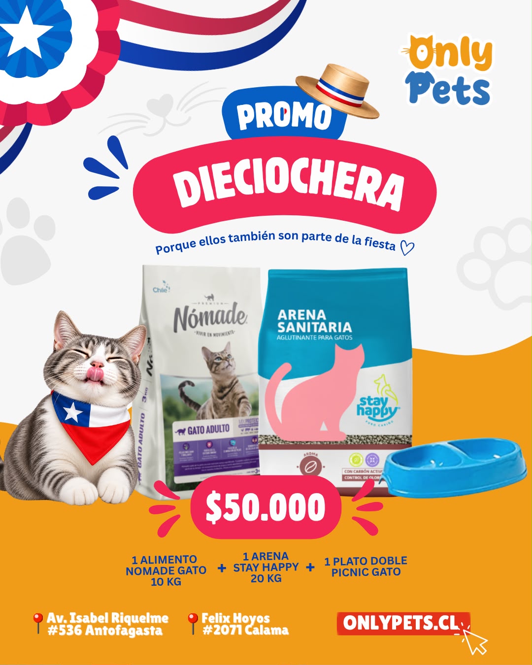 WhatsApp Image 2026-09-14 at 14.23.22 PROMO DIECIOCHERA GATO - CAFE - Imagen 1