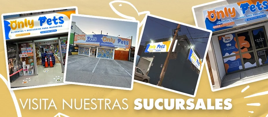 Visita nuestras tiendas OnlyPets.cl
