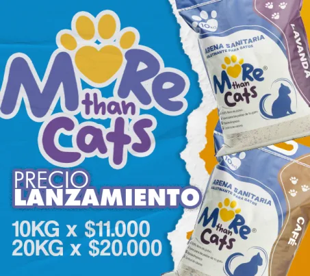 Arena para gatos MoreThanPets | OnlyPets.cl